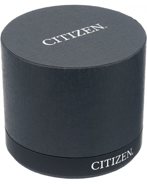 Citizen FB3003-51Y