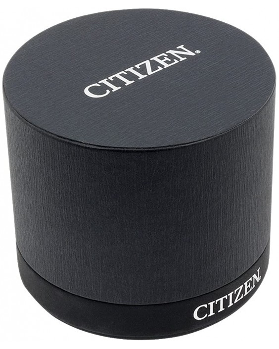 Citizen FE6112-09P