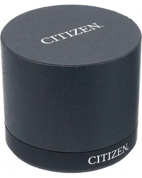 Citizen FD2050-53L