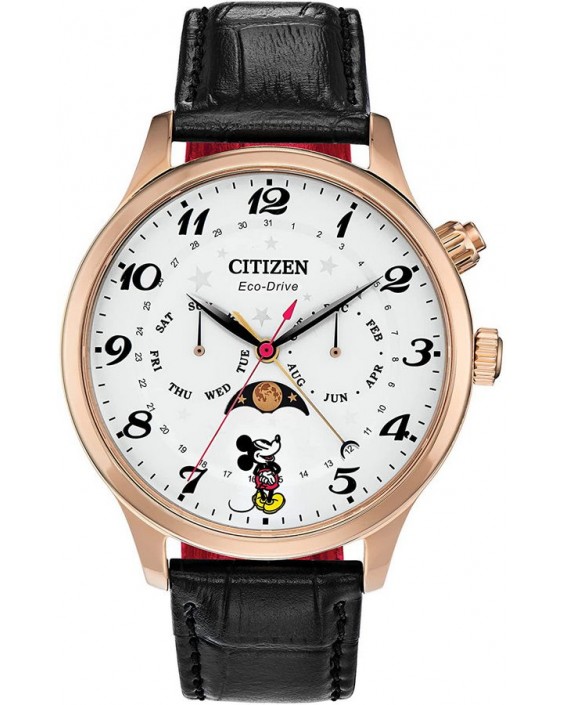 Citizen AP1053-15W