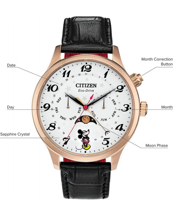 Citizen AP1053-15W