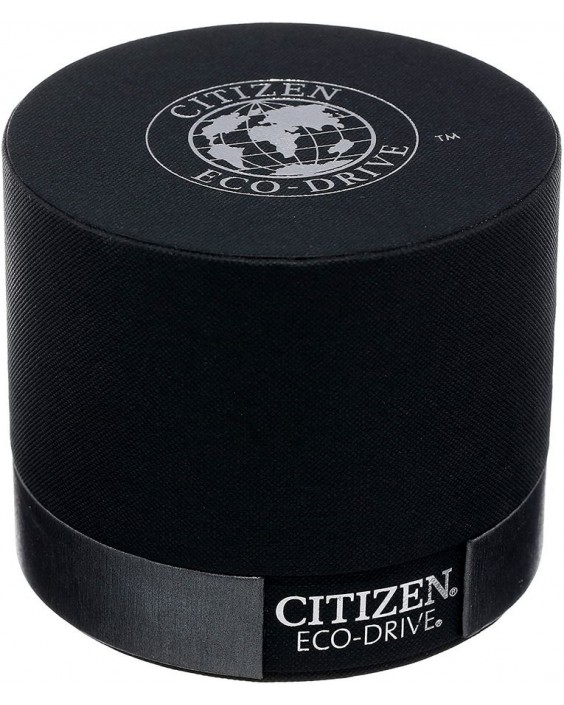 Citizen FD1034-55D