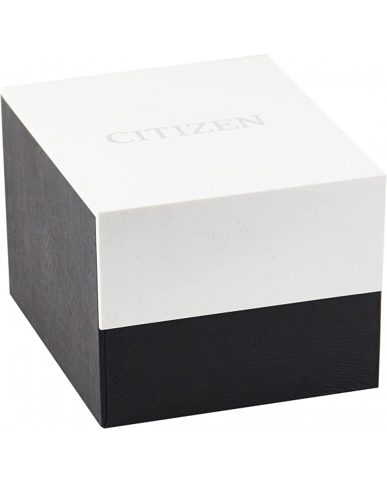 Citizen BI1041-22L