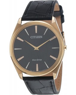 Citizen AR3073-06E