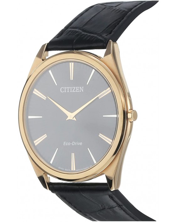 Citizen AR3073-06E