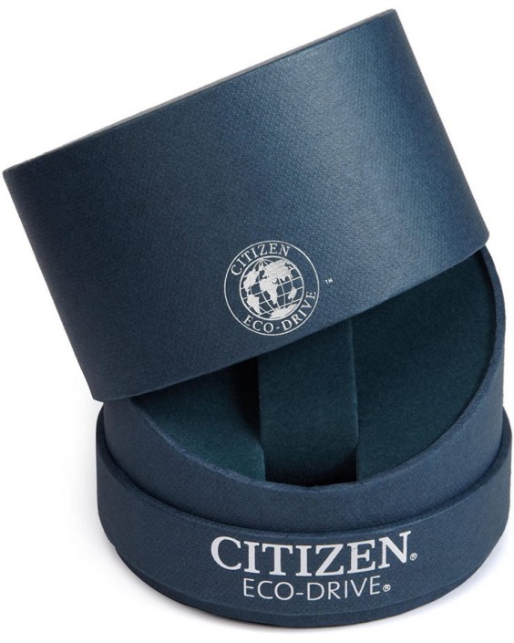 Citizen BM6010-55G