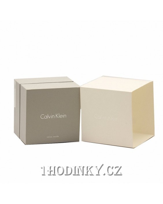 Hodinky Calvin Klein K3G23626