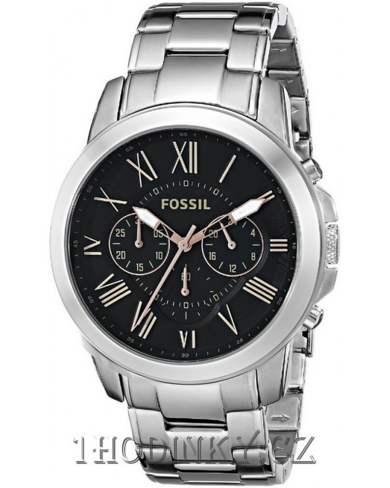 Hodinky Fossil FS4994