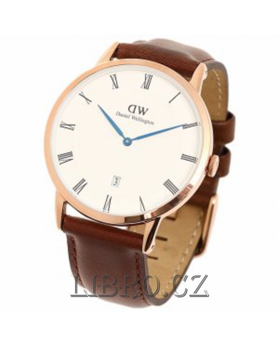 DANIEL WELLINGTON 1100DW