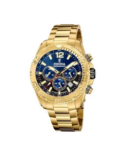 Festina F20684-2